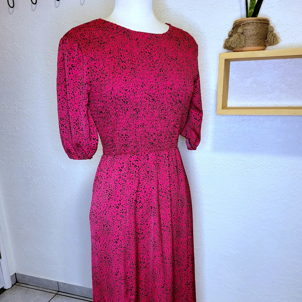 New Popsugar Leopard Print Hot Pink Maxi Dress